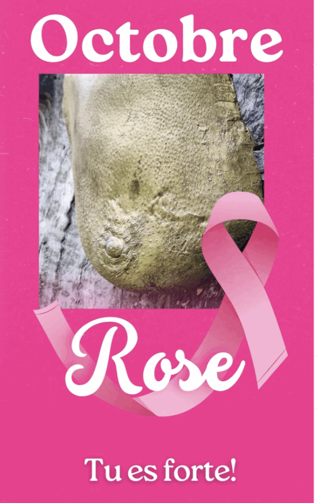 lutte contre le cancer du sein. Octobre rose